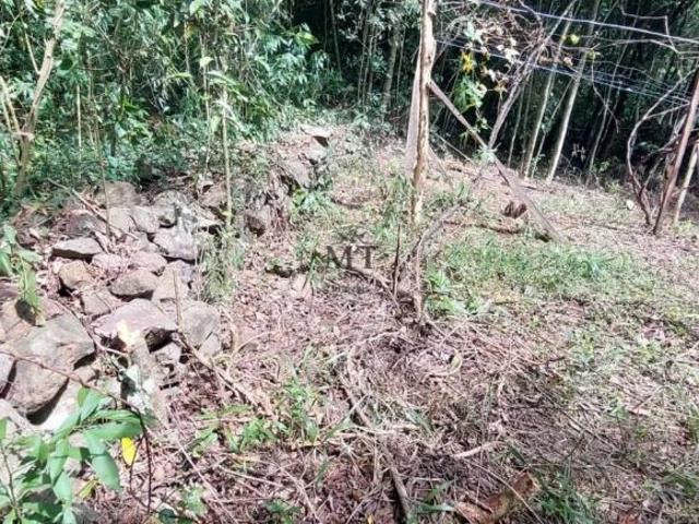 Terreno venda em Região Geográfica Imediata de Caxias do Sul, Nova Petrópolis