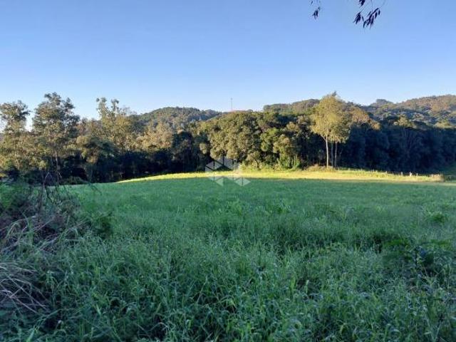 Sítio e chácara venda em Região Geográfica Imediata de Caxias do Sul, Farroupilha