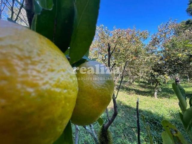 Sítio e chácara venda em Região Geográfica Imediata de Caxias do Sul, Gramado