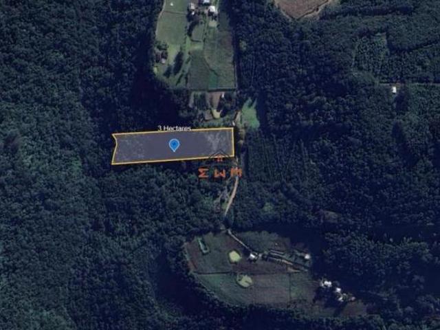 Terreno venda em Região Geográfica Imediata de Caxias do Sul, Farroupilha