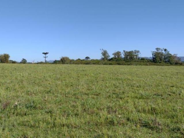 Sítio e chácara venda em Região Geográfica Imediata de Santa Maria, Santa Maria