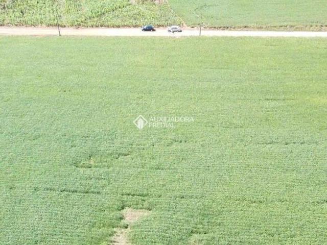 Sítio e chácara venda em Região Geográfica Imediata de Lajeado, Lajeado