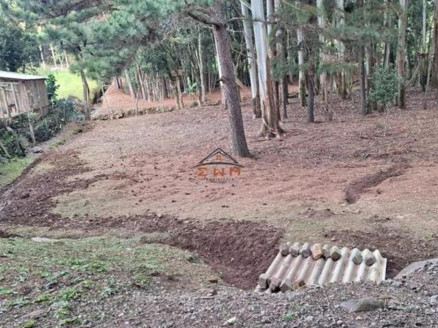 Sítio e chácara venda em Região Geográfica Imediata de Caxias do Sul, Farroupilha
