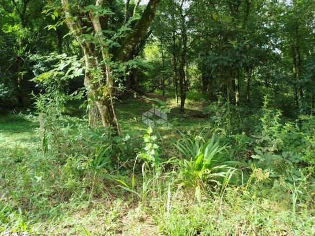 Sítio e chácara venda em Região Geográfica Imediata de Caxias do Sul, Nova Petrópolis