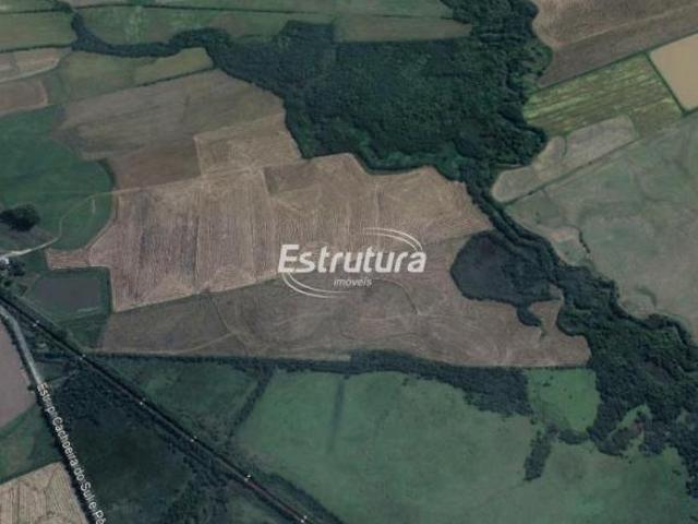 Sítio e chácara venda em Região Geográfica Imediata de Santa Maria, Santa Maria