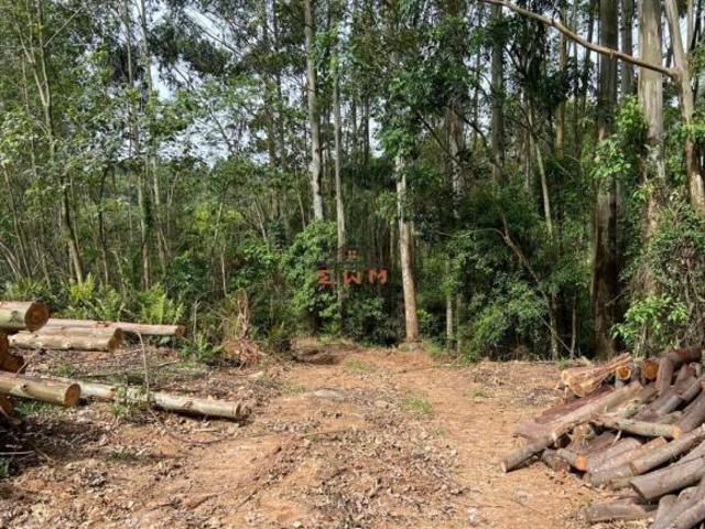 Apartamento venda em Região Geográfica Imediata de Caxias do Sul, Alto Feliz