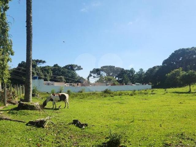 Sítio e chácara venda em Região Geográfica Imediata de Curitiba, Região Metropolitana de Curitiba
