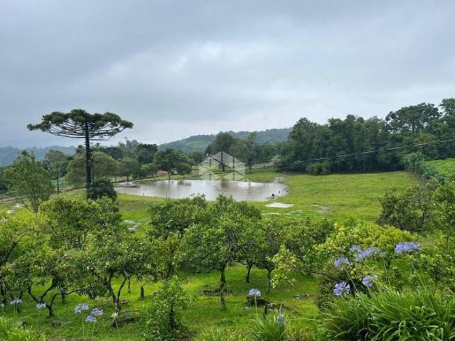 Sítio e chácara venda em Monte Belo do Sul