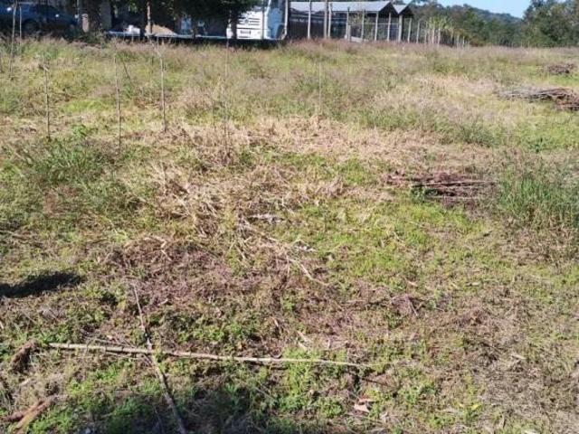 Terreno venda em Região Geográfica Imediata de Novo Hamburgo - São Leopoldo, São Sebastião do Cai