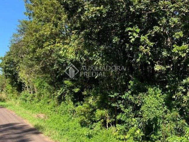 Sítio e chácara venda em Região Geográfica Imediata de Lajeado, Colinas