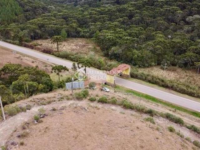 Sítio e chácara venda em Região Geográfica Imediata de Caxias do Sul, Cambara do Sul