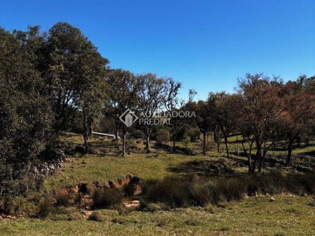 Terreno venda em Região Geográfica Imediata de Caxias do Sul, Caxias do Sul