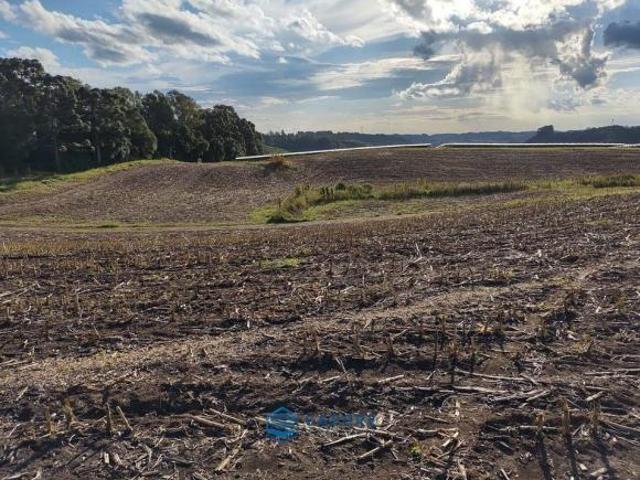 Terreno venda em Região Geográfica Imediata de Caxias do Sul, Farroupilha