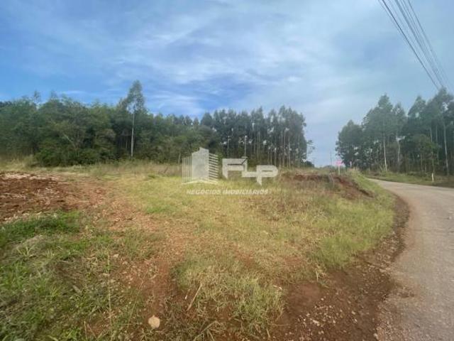 Sítio e chácara venda em Região Geográfica Imediata de Caxias do Sul, Alto Feliz