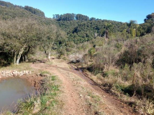 Sítio e chácara venda em Região Geográfica Imediata de Cachoeira do Sul, Cerro Branco