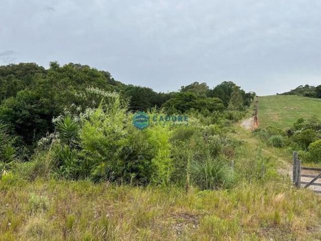 Terreno venda em Região Geográfica Imediata de Caxias do Sul, Flores da Cunha