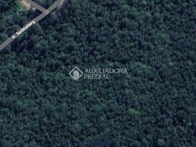 Terreno venda em Região Geográfica Imediata de Caxias do Sul, Nova Petrópolis