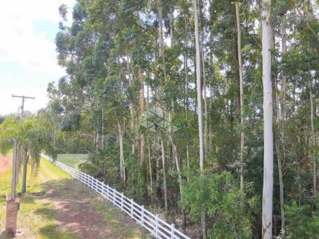 Terreno venda em Colinas