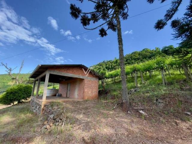 Sítio e chácara venda em Região Geográfica Imediata de Bento Gonçalves, Bento Gonçalves
