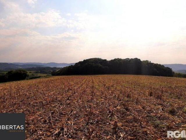 Terreno venda em Sertão Santana
