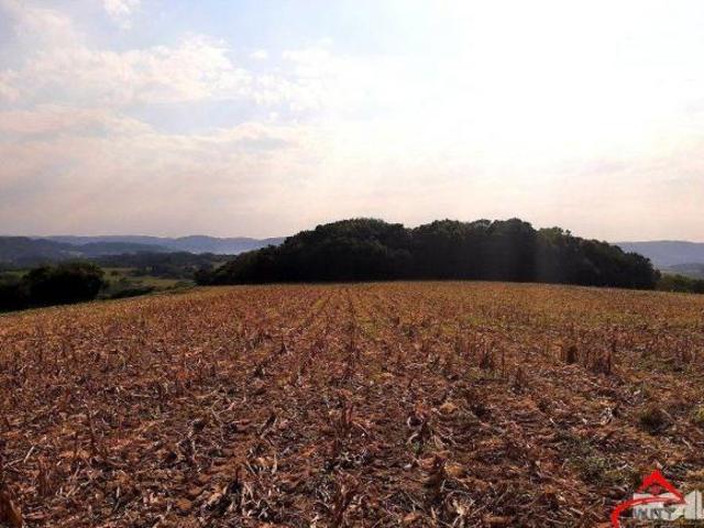 Terreno venda em Região Geográfica Imediata de Porto Alegre, Mariana Pimentel