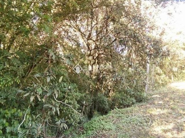 Sítio e chácara venda em Região Geográfica Imediata de Lajeado, Lajeado