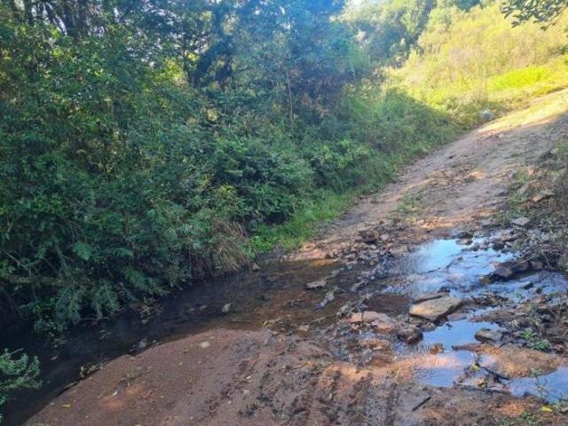 Terreno venda em Dom Feliciano