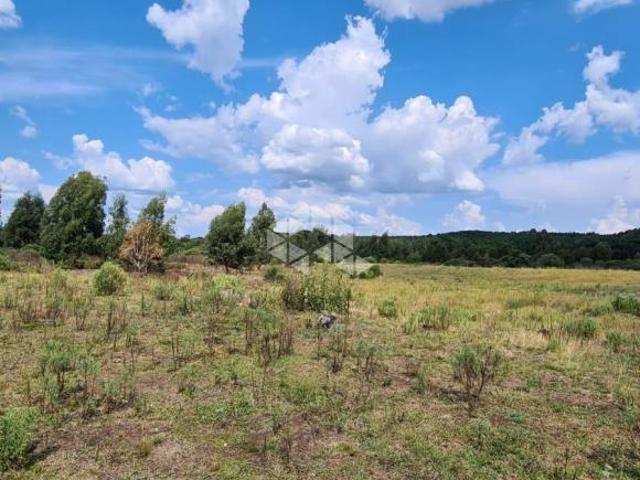 Sítio e chácara venda em Região Geográfica Imediata de Caxias do Sul, Caxias do Sul