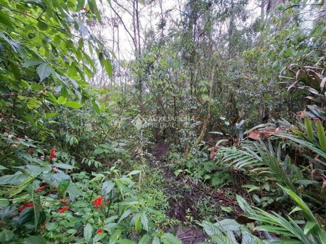 Terreno venda em Região Geográfica Imediata de Porto Alegre, Região Metropolitana de Porto Alegre