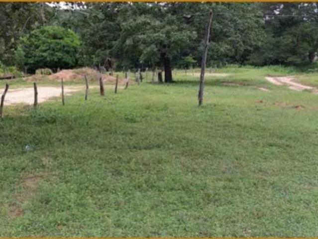 Terreno venda em Região Geográfica Imediata de Januária, Januária