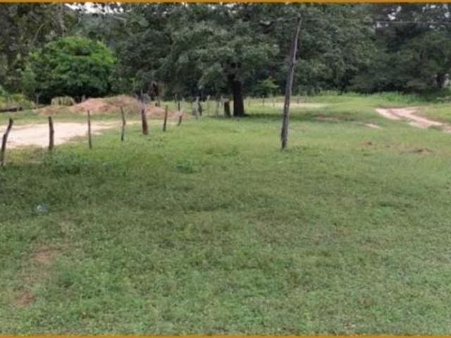 Terreno venda em Januária
