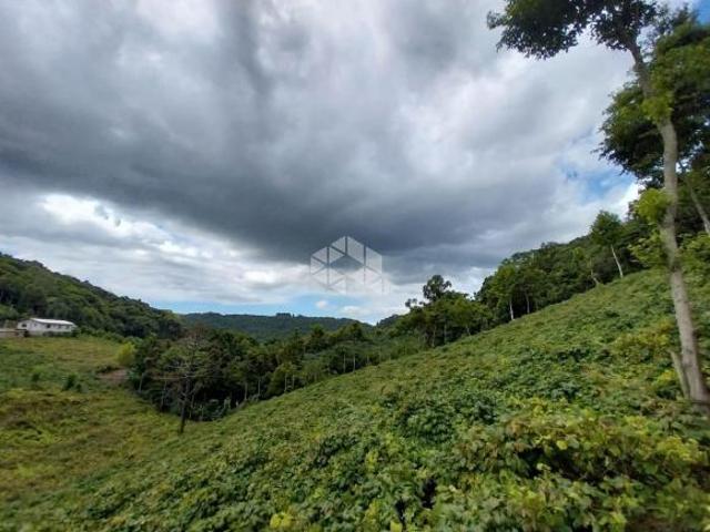 Sítio e chácara venda em Região Geográfica Imediata de Bento Gonçalves, Bento Gonçalves