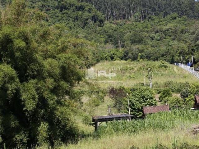 Sítio e chácara venda em Região Geográfica Imediata de Caxias do Sul, Feliz