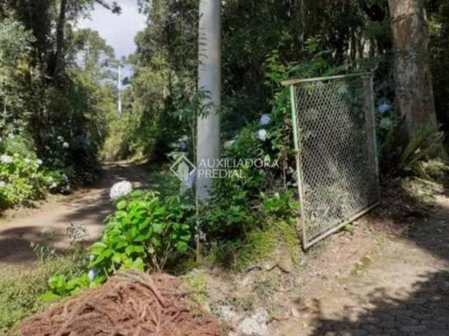 Terreno venda em Região Geográfica Imediata de Caxias do Sul, Canela