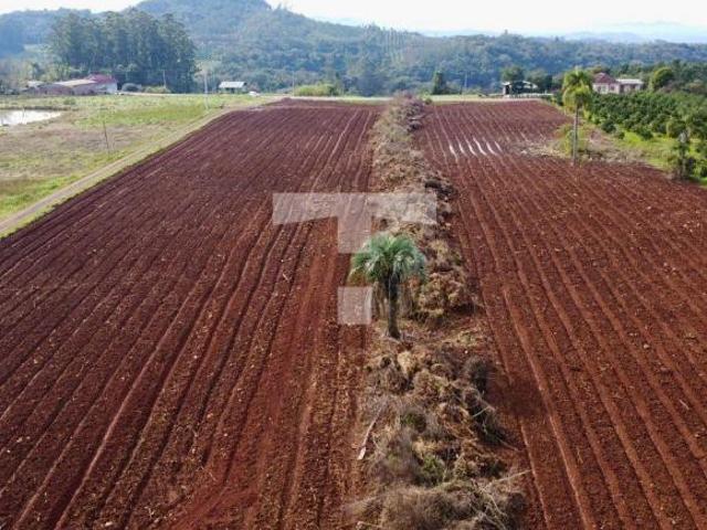 Sítio e chácara venda em Região Geográfica Imediata de Novo Hamburgo - São Leopoldo, São José do Hortencio