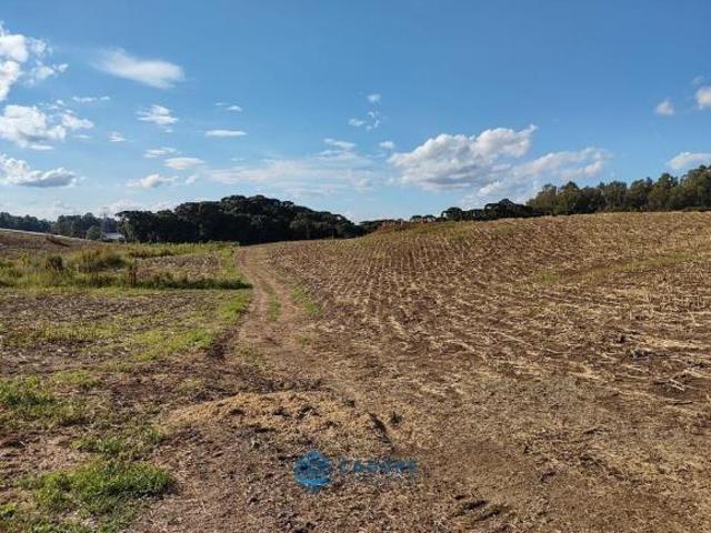 Terreno venda em Vila Esperança, Farroupilha