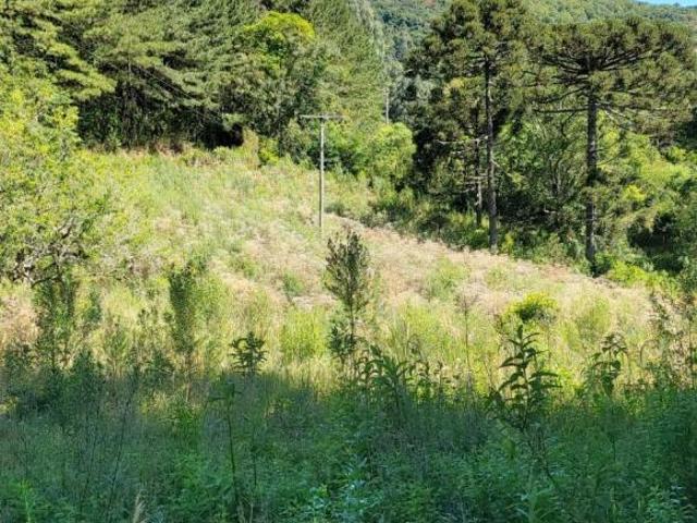 Sítio e chácara venda em Região Geográfica Imediata de Caxias do Sul, Gramado