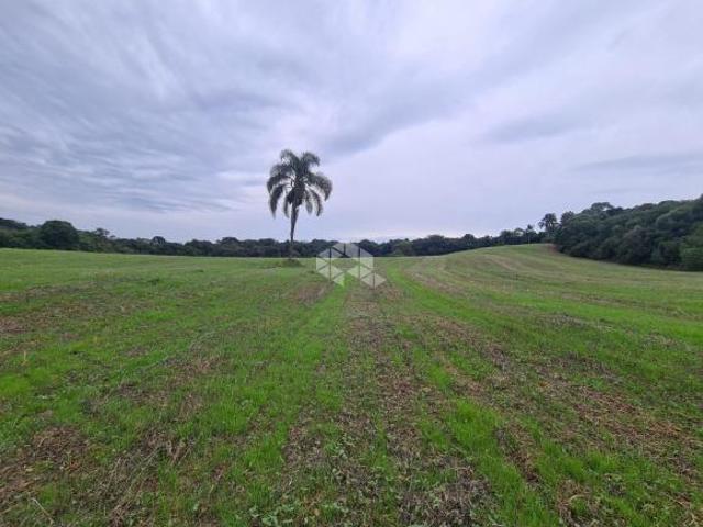 Sítio e chácara venda em Região Geográfica Imediata de Bento Gonçalves, Veranópolis
