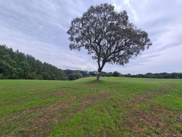 Sítio e chácara venda em Região Geográfica Imediata de Bento Gonçalves, Veranópolis