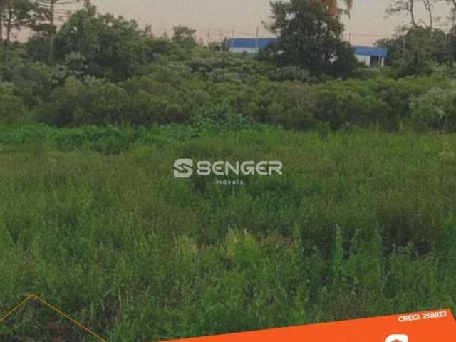 Sítio e chácara venda em Região Geográfica Imediata de Bento Gonçalves, Veranópolis