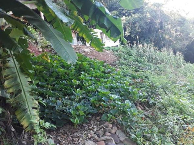 Sítio e chácara venda em Região Geográfica Imediata de Caxias do Sul, Nova Petrópolis