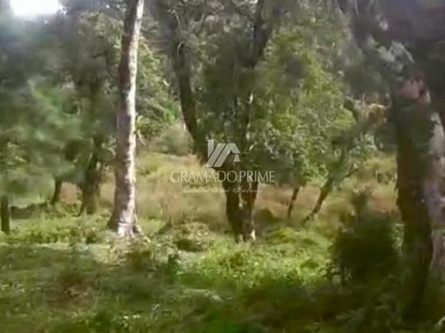 Sítio e chácara venda em Campo do Meio, São Francisco de Paula