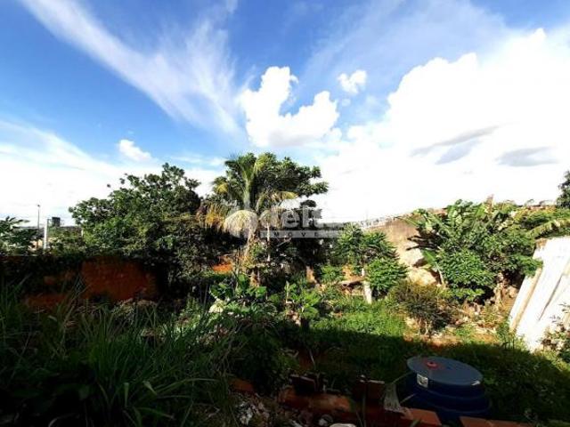 Terreno venda em Dona Zulmira, Uberlândia