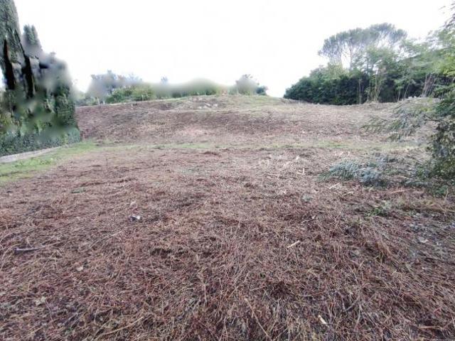 Terreno in vendita a Vicchio, Toscana
