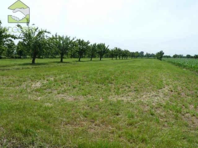 Terreno in vendita a Zero Branco, Veneto