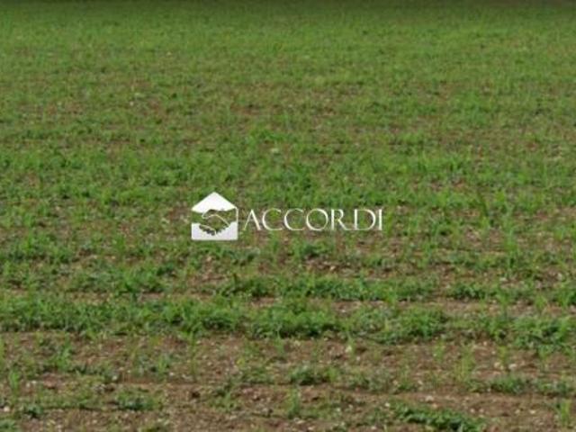 Terreno in vendita a Conegliano, Veneto
