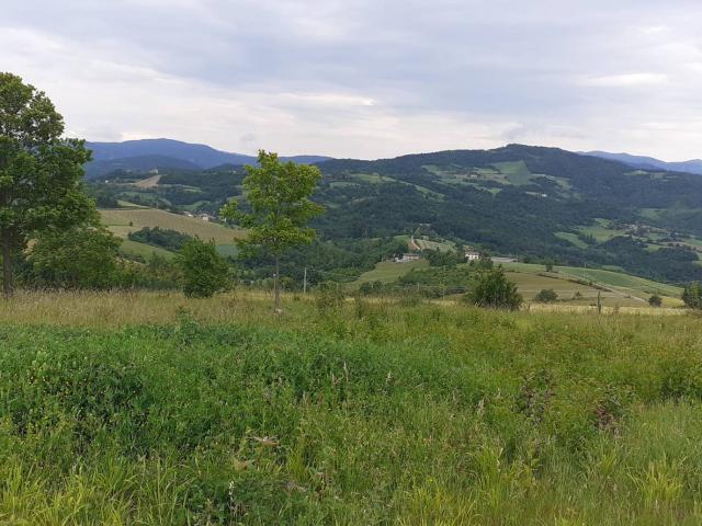 Terreno in vendita a Montesanto, Ponte Dell'olio