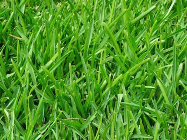 Terreno in vendita a Pontirolo Nuovo, Lombardia