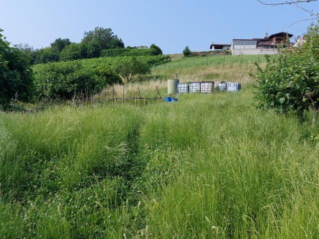 Terreno in vendita a Novella, Stradella