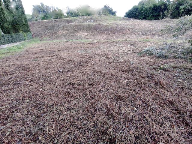 Terreno in vendita a Vicchio, Toscana